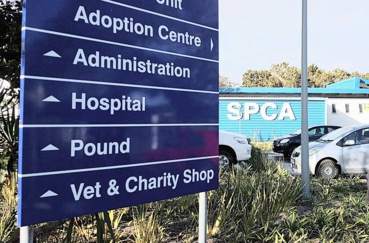 SPCA Doors Stay Open Southern Mail